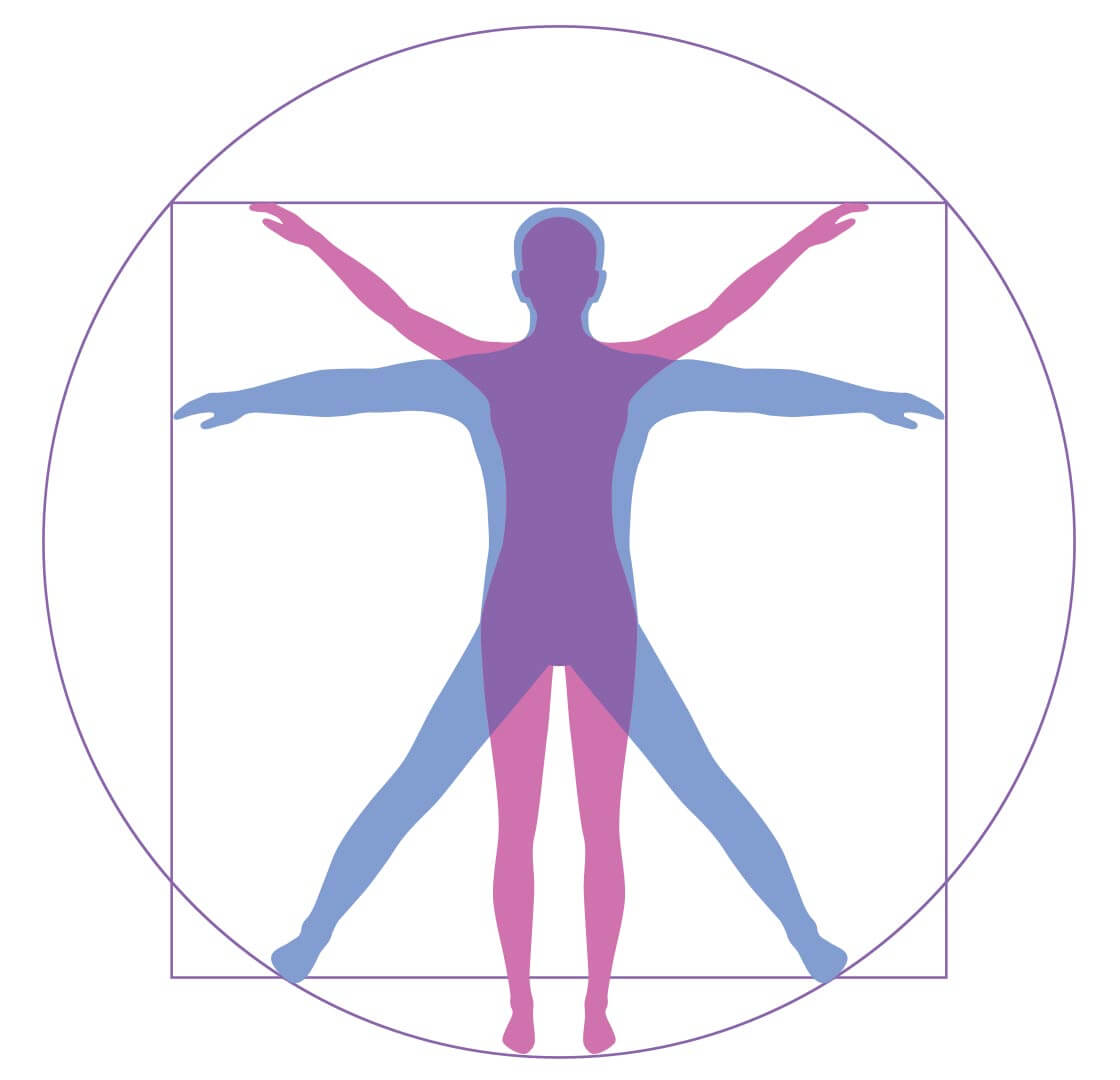 gal-bason-human-body
