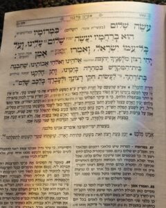 WhatsApp Image 2026-02-22 at 3.27.26 PM