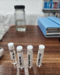 WhatsApp Image 2026-02-22 at 3.27.39 PM