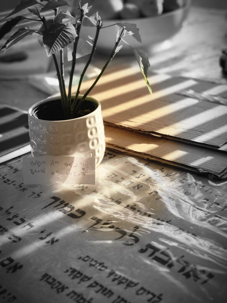 Your Relationship With Everything — Through the Ha’Ichud Method & NAET