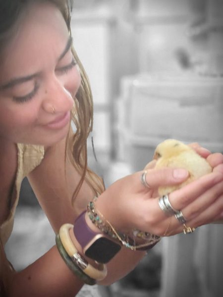 Gal Bason - About NAET